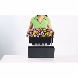LECHUZA BALCONERA 50 Intérieur & extérieur Kit de plantation en pot Support Polypropylène (PP) Blanc - Vue supplémentaire 12