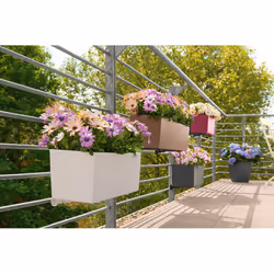LECHUZA BALCONERA 50 Intérieur & extérieur Kit de plantation en pot Support Polypropylène (PP) Gris - Vue supplémentaire 8