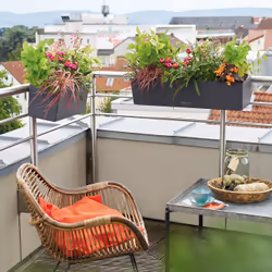 LECHUZA Balconera Color 80 Intérieur & extérieur Jardinière Support Polypropylène (PP) Marron - Vue supplémentaire 10
