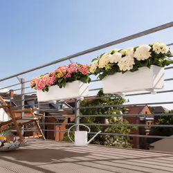LECHUZA Balconera Color 80 Intérieur & extérieur Jardinière Support Polypropylène (PP) Marron - Vue supplémentaire 5