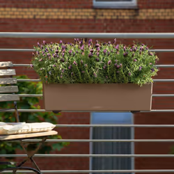LECHUZA Balconera Color 80 Intérieur & extérieur Jardinière Support Polypropylène (PP) Marron - Vue supplémentaire 6
