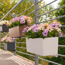 LECHUZA Balconera Color 80 Intérieur & extérieur Jardinière Support Polypropylène (PP) Marron - Vue supplémentaire 7
