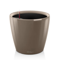 LECHUZA Classico LS 21 Intérieure Kit de plantation en pot Autonome Polypropylène (PP) Taupe