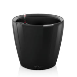 LECHUZA Classico LS 21 Intérieure Kit de plantation en pot Autonome Polypropylène (PP) Noir