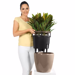 LECHUZA Classico LS 21 Intérieure Kit de plantation en pot Autonome Polypropylène (PP) Noir