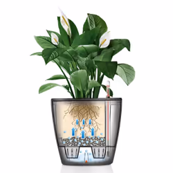LECHUZA Classico LS 21 Intérieure Kit de plantation en pot Autonome Polypropylène (PP) Noir - Vue supplémentaire 7