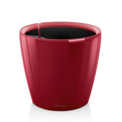 LECHUZA Classico LS 28 Intérieure Table de jardinage Autonome Rouge