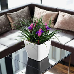 LECHUZA Jardinière QUADRO LS 21 Blanc brillant