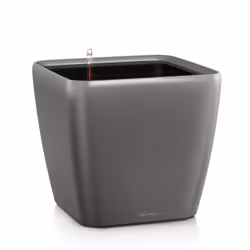 LECHUZA Quadro LS 21, Kit de plantation en pot, Autonome, Polypropylène (PP), Charbon de bois, Métallique, Rectangle, Intérie ...
