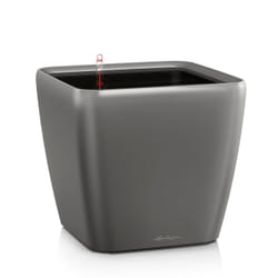 LECHUZA Quadro LS 21 Intérieure Kit de plantation en pot Autonome Polypropylène (PP) Charbon de bois, Métallique