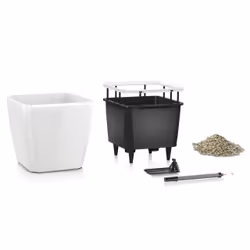 LECHUZA Quadro LS 21 Intérieure Kit de plantation en pot Autonome Polypropylène (PP) Charbon de bois, Métallique