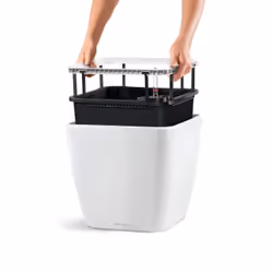 LECHUZA Quadro LS 21 Intérieure Kit de plantation en pot Autonome Polypropylène (PP) Charbon de bois, Métallique