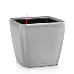 LECHUZA Quadro LS 21 Intérieure Table de jardinage Autonome Argent