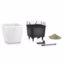 LECHUZA Quadro LS 21 Intérieure Table de jardinage Autonome Argent