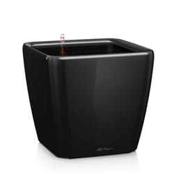 LECHUZA Quadro LS 21 Intérieure Table de jardinage Autonome Noir