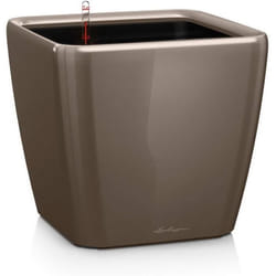 Pot de Fleurs - LECHUZA - Quadro Ls - Réserve dEau Intégrée - Coloris Taupe - 35 x 35 x 33 cm