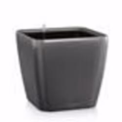 Lechuza – Pot de Fleurs dInterieur – Premium Quadro Ls – Réserve dEau Intégrée – Coloris Noir – 35 x 35 x 33 cm