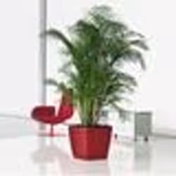 Pot de fleurs - LECHUZA - Quadro Premium LS 43 - Rouge Scarlet - 32 Litres - 43x43x40 cm