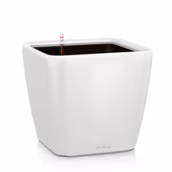 LECHUZA QUADRO LS 50