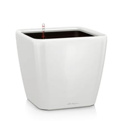 LECHUZA QUADRO LS 50 Intérieure Kit de plantation en pot Autonome Plastique Blanc