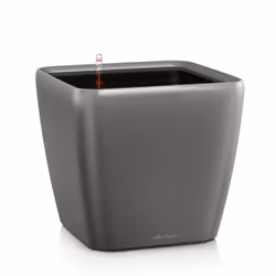 LECHUZA QUADRO LS 50, Kit de plantation en pot, Autonome, Plastique, Charbon de bois, Rectangle, Intérieure