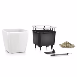 LECHUZA QUADRO LS 50 Intérieure Kit de plantation en pot Autonome Plastique Charbon de bois