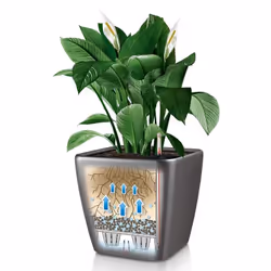 LECHUZA QUADRO LS 50 Intérieure Kit de plantation en pot Autonome Plastique Charbon de bois - Vue supplémentaire 7