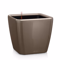 LECHUZA QUADRO LS 50, Kit de plantation en pot, Autonome, Plastique, Marron, Rectangle, Intérieure