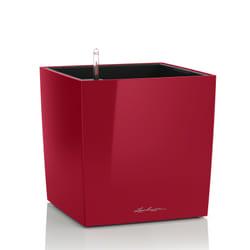 LECHUZA CUBE 40 Intérieure Kit de plantation en pot Autonome Polypropylène (PP) Rouge