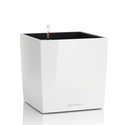 LECHUZA CUBE 50 Intérieure Kit de plantation en pot Autonome Polypropylène (PP) Blanc