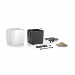 LECHUZA CUBE 50 Intérieure Kit de plantation en pot Autonome Polypropylène (PP) Blanc