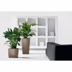 LECHUZA CUBE 50 Intérieure Kit de plantation en pot Autonome Polypropylène (PP) Blanc