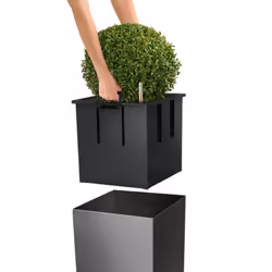 LECHUZA CUBE 50 Intérieure Kit de plantation en pot Autonome Polypropylène (PP) Blanc - Vue supplémentaire 6