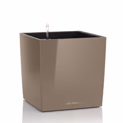 LECHUZA CUBE 50, Kit de plantation en pot, Autonome, Polypropylène (PP), Taupe, Intérieure, Noir