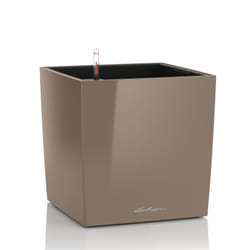 LECHUZA CUBE 50 Intérieure Kit de plantation en pot Autonome Polypropylène (PP) Taupe