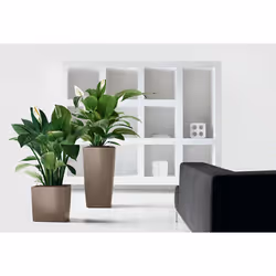 LECHUZA CUBE 50 Intérieure Kit de plantation en pot Autonome Polypropylène (PP) Taupe