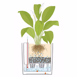 LECHUZA CUBE 50 Intérieure Kit de plantation en pot Autonome Polypropylène (PP) Taupe - Vue supplémentaire 7