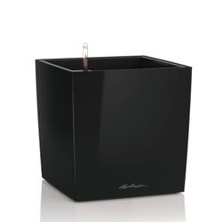 LECHUZA CUBE 50 Intérieure Kit de plantation en pot Autonome Polypropylène (PP) Noir