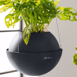LECHUZA BOLA Color 32 Marron Plastique 1 pièce(s)