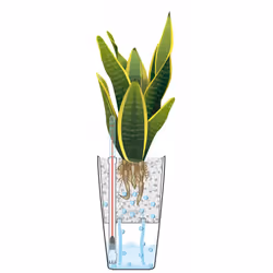 LECHUZA MAXI-CUBI Intérieure Kit de plantation en pot Autonome Acrylonitrile-Butadiène-Styrène (ABS) Métallique