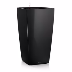 LECHUZA Cubico 30, Kit de plantation en pot, Autonome, Polypropylène (PP), Noir, Intérieure, Monochromatique