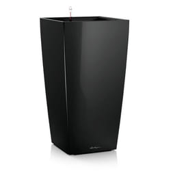 LECHUZA Cubico 30 Intérieure Kit de plantation en pot Autonome Polypropylène (PP) Noir