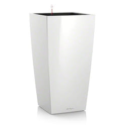 LECHUZA CUBICO 40 All-in-One Set Intérieure Kit de plantation en pot Autonome Polypropylène (PP) Blanc