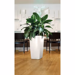 LECHUZA CUBICO 40 All-in-One Set Intérieure Kit de plantation en pot Autonome Polypropylène (PP) Blanc - Vue supplémentaire 10