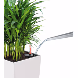 LECHUZA CUBICO 40 All-in-One Set Intérieure Kit de plantation en pot Autonome Polypropylène (PP) Blanc - Vue supplémentaire 14