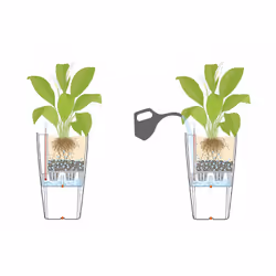 LECHUZA CUBICO 40 All-in-One Set Intérieure Kit de plantation en pot Autonome Polypropylène (PP) Blanc - Vue supplémentaire 15