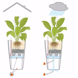 LECHUZA CUBICO 40 All-in-One Set Intérieure Kit de plantation en pot Autonome Polypropylène (PP) Blanc - Vue supplémentaire 16
