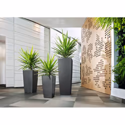 LECHUZA CUBICO 40 All-in-One Set Intérieure Kit de plantation en pot Autonome Polypropylène (PP) Blanc - Vue supplémentaire 5