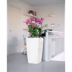 LECHUZA CUBICO 40 All-in-One Set Intérieure Kit de plantation en pot Autonome Polypropylène (PP) Blanc - Vue supplémentaire 6