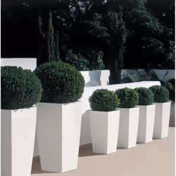 LECHUZA CUBICO 40 All-in-One Set Intérieure Kit de plantation en pot Autonome Polypropylène (PP) Blanc - Vue supplémentaire 8